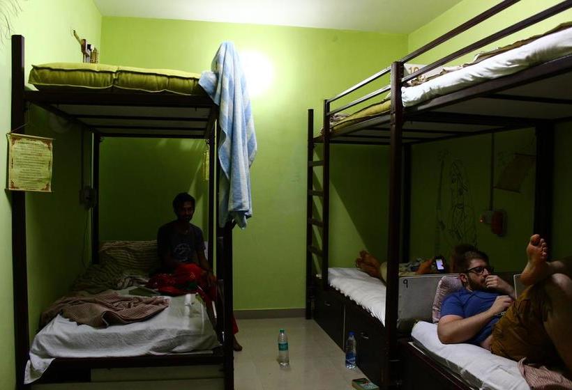 Jugaadus Eco Hostel 15