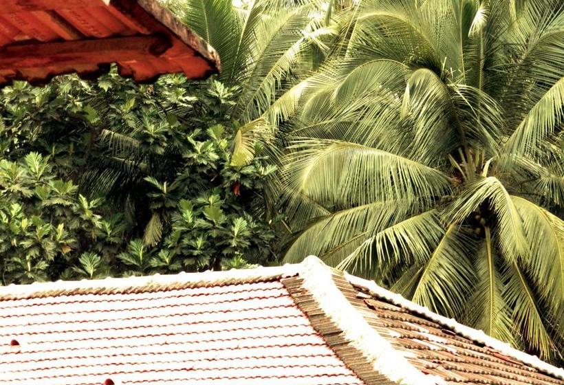 Old Quarter By Thehostelcrowd 10