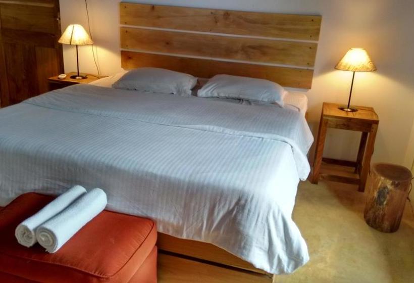 Old Quarter By Thehostelcrowd 12