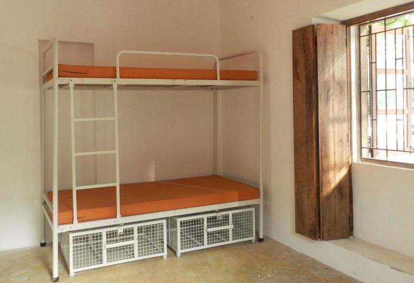 Old Quarter By Thehostelcrowd 20