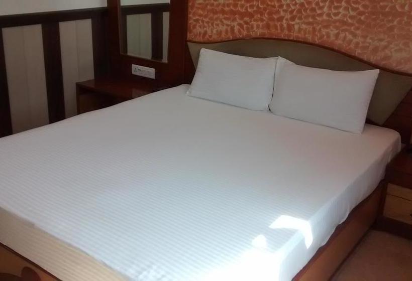 Hotel Wingston Mathura 14