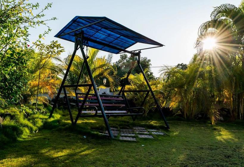 Amidhara Avezika Resort 19