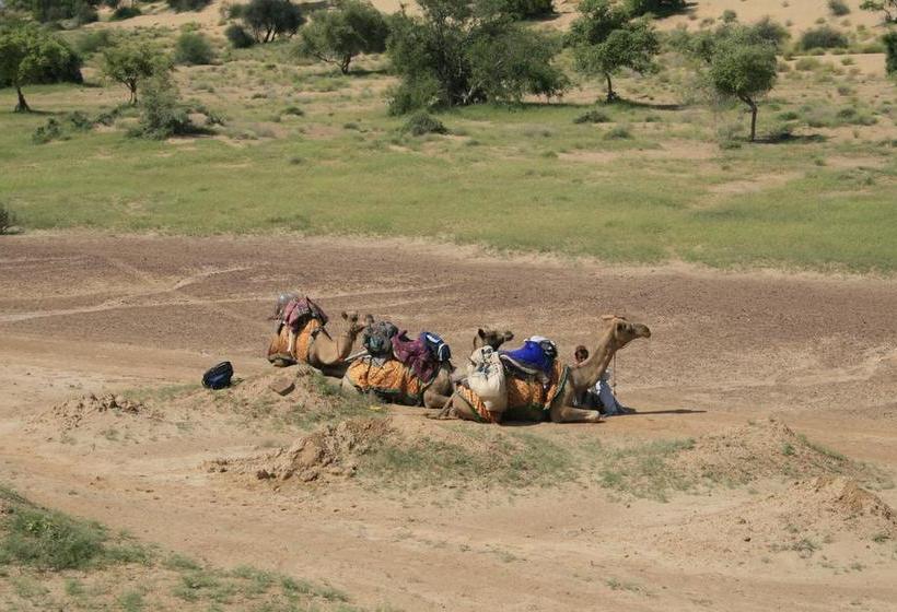 Hotel Monica Guesthouse & Safari 9