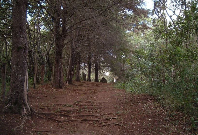 Hotel Rosa dos Ventos  | Teresopolis | Rio de Janeiro | Brasil 1