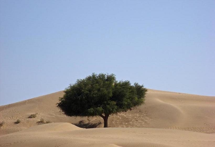 Hotel Artist Lodge 18