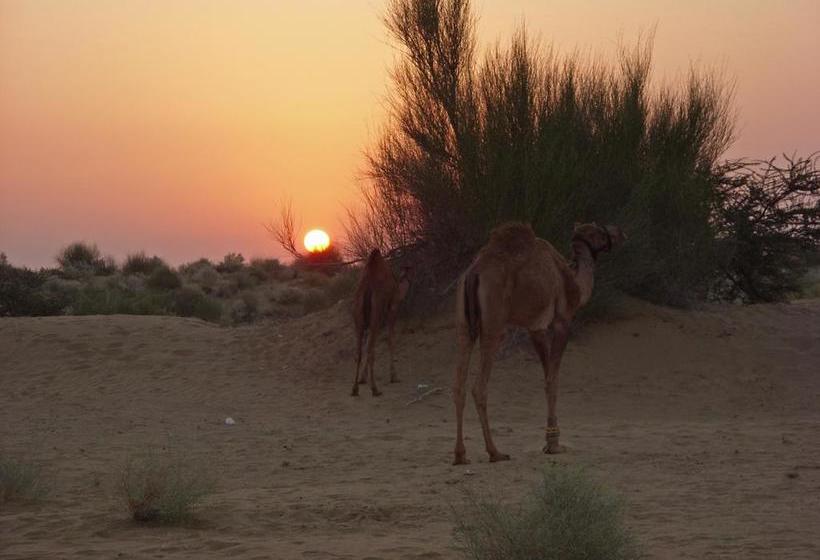 Hotel Artist Lodge 19