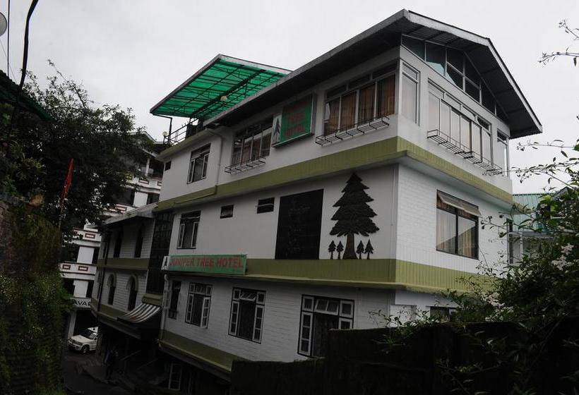 Hotel Juniper Tree Gangtok Sikkim
