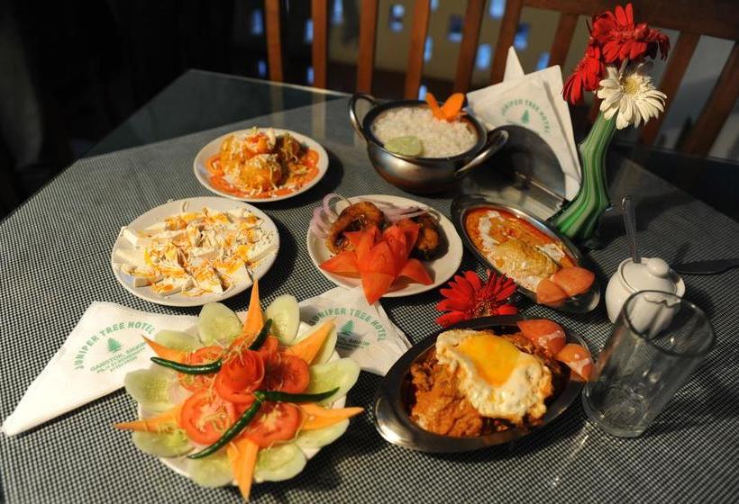 Hotel Juniper Tree 11