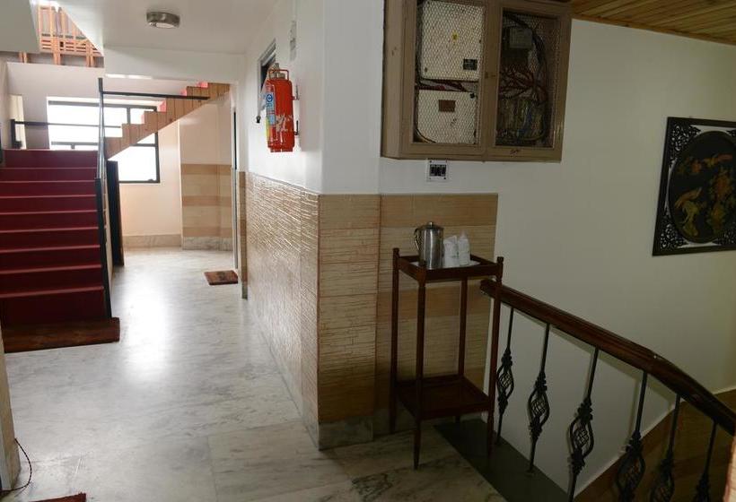 Hotel Juniper Tree 5