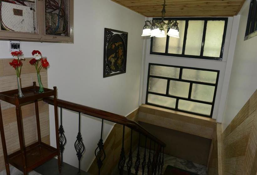 Hotel Juniper Tree 7