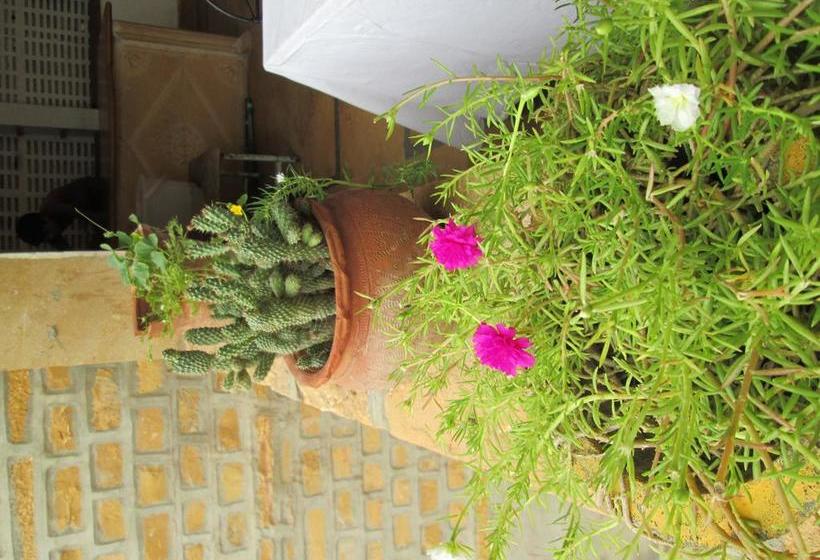 Hotel Desert Memories 19