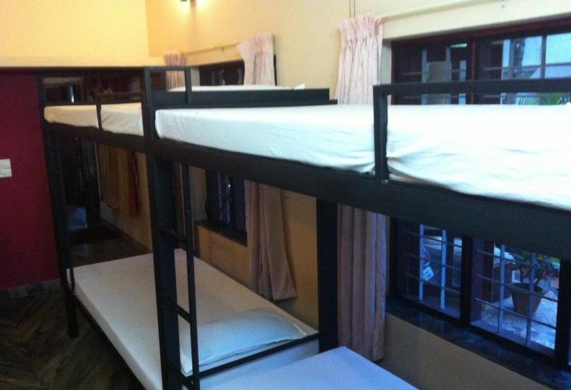 Bed and Breakfast Paradise Inn Guest House 10