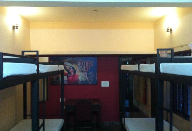 Bed and Breakfast Paradise Inn Guest House 11