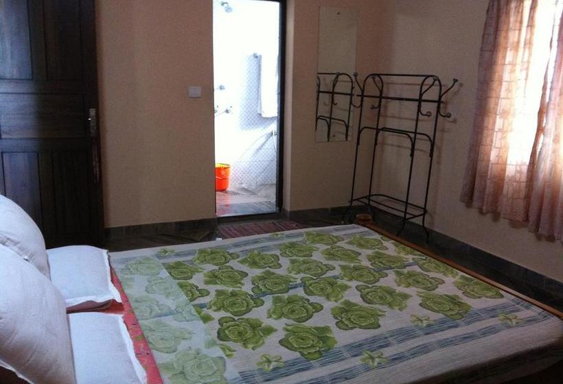 Bed and Breakfast Paradise Inn Guest House 19