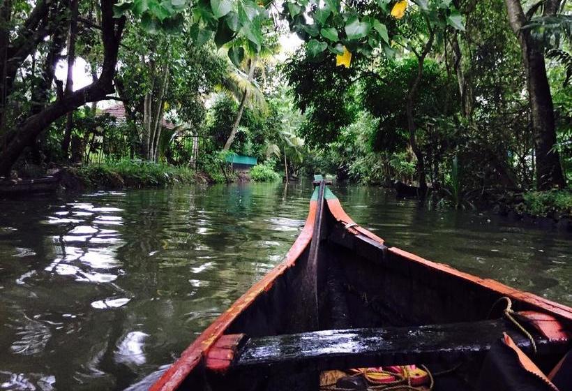 Bed and Breakfast Paradise Inn Guest House 2