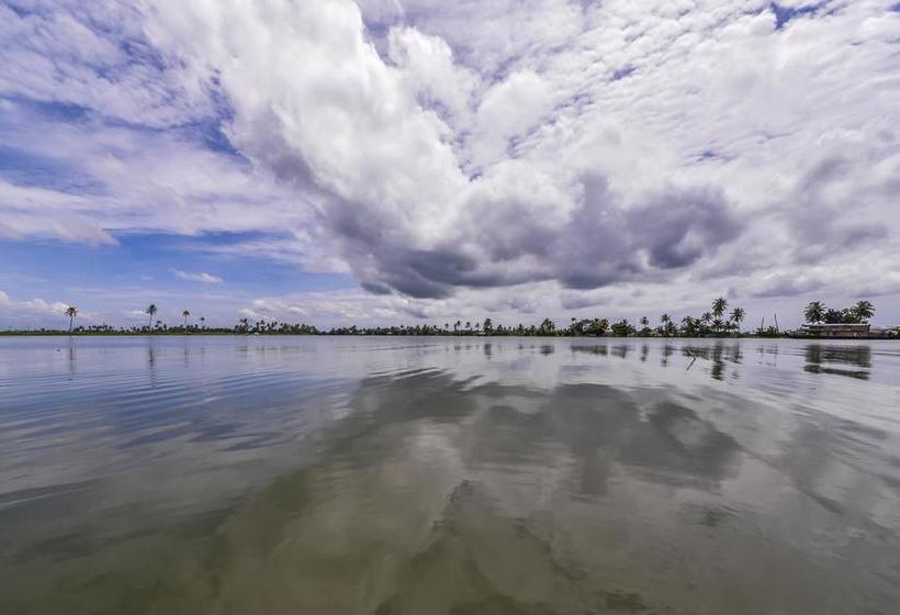 Bed and Breakfast Paradise Inn Guest House 3