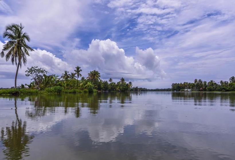 Bed and Breakfast Paradise Inn Guest House 4