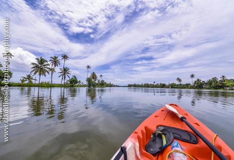 Bed and Breakfast Paradise Inn Guest House 5