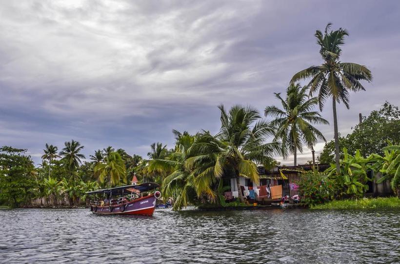 Bed and Breakfast Paradise Inn Guest House 6