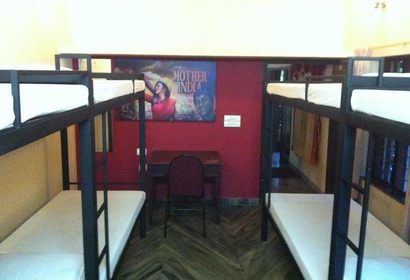 Bed and Breakfast Paradise Inn Guest House 9