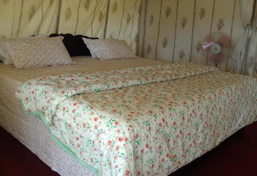 Bed and Breakfast Cola Beach Exclusive Tented Resort 2