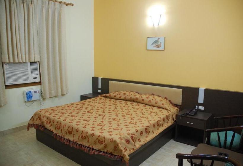 Hôtel Magnet House 15