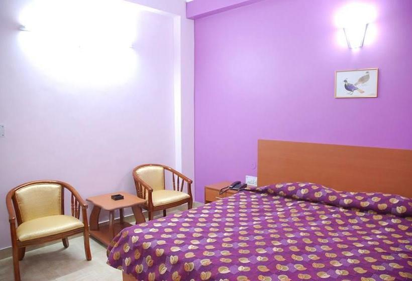 Hôtel Magnet House 3