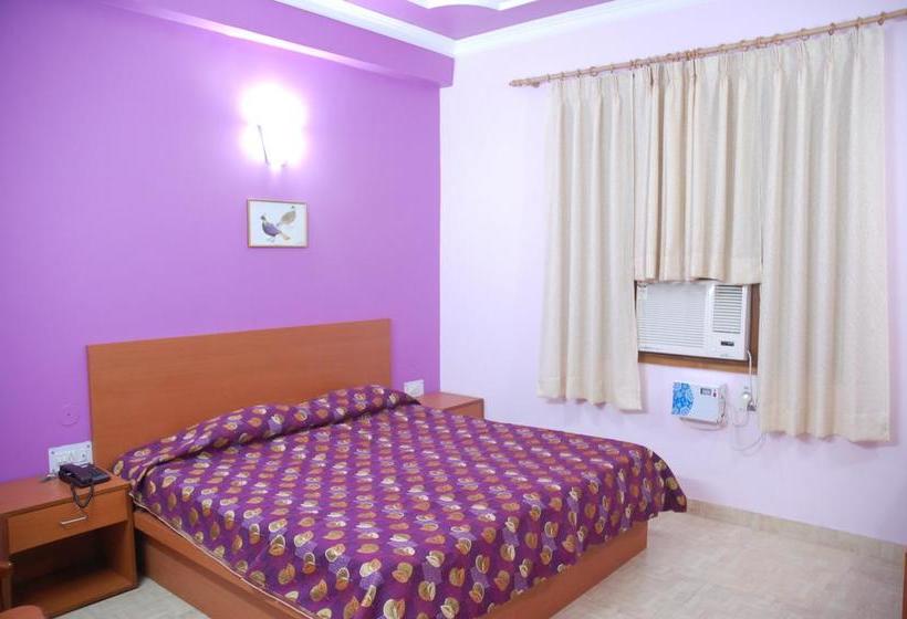 Hôtel Magnet House 9