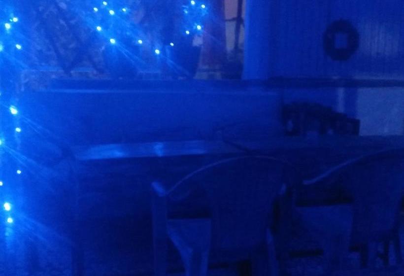 Bed and Breakfast Bob Hostel 1