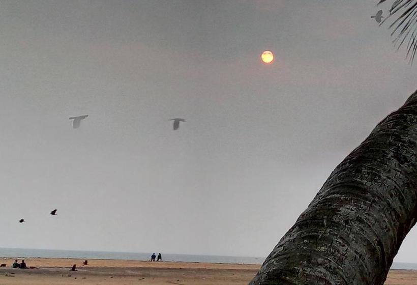 Lagoona Beach Resort 12