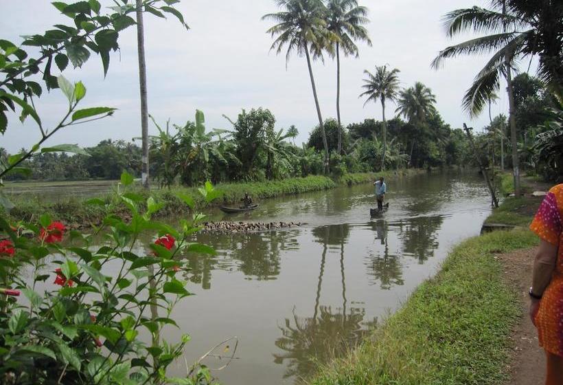 Bed and Breakfast Gk`s Riverview Homestay 15