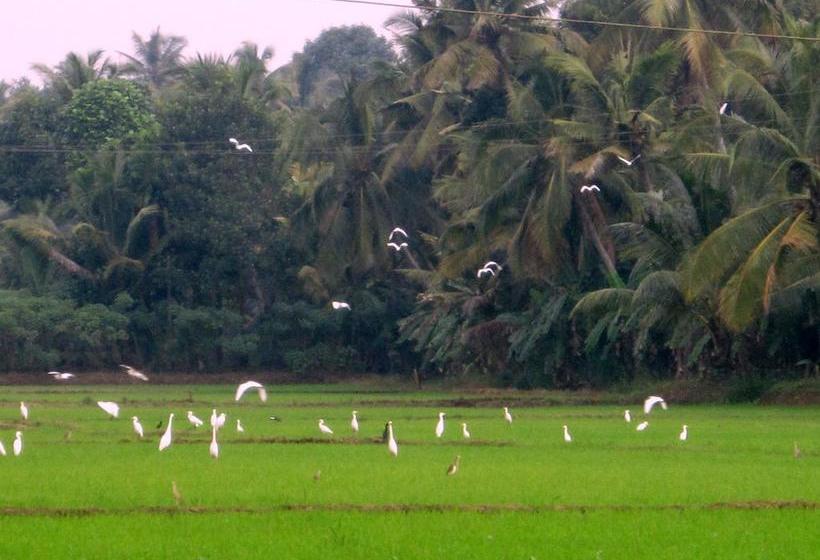 Bed and Breakfast Gk`s Riverview Homestay 4