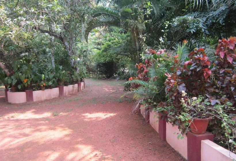 Bed and Breakfast Gk`s Riverview Homestay 7