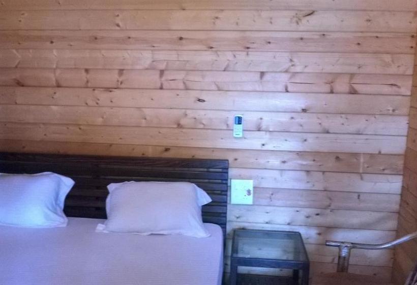 Bed and Breakfast Sea Horse 6