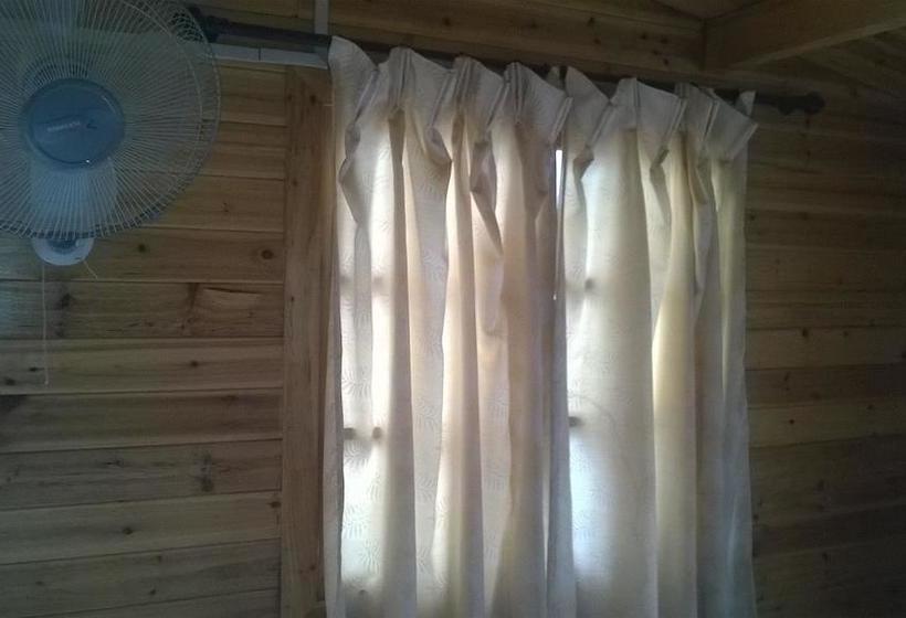 Bed and Breakfast Sea Horse 7