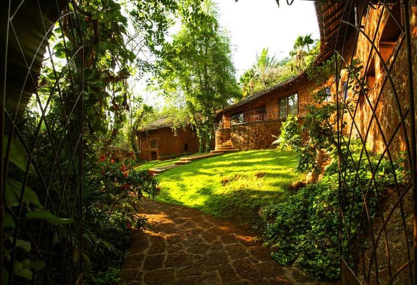 Resort Niraamaya Retreats Nilaya Goa 19