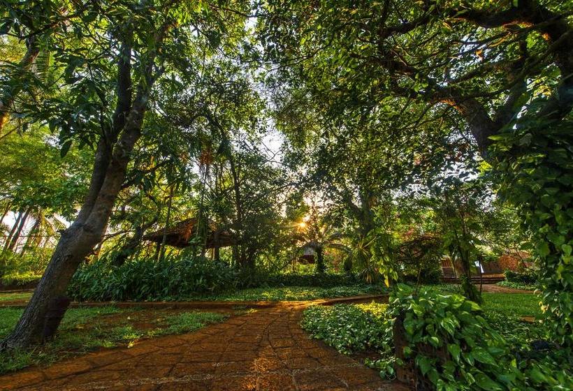 Resort Niraamaya Retreats Nilaya Goa 20