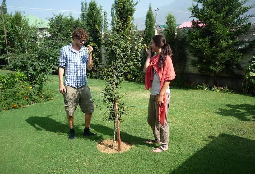 Bed and Breakfast Snow Leopard Lodge 11