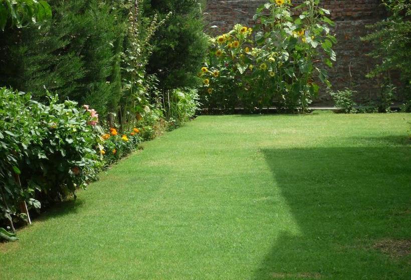 Bed and Breakfast Snow Leopard Lodge 2