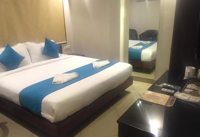 Hotel Saluja Residency New Amber Bar & Restraurant 8