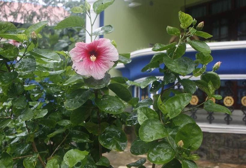 Hotel Golden Sands 6