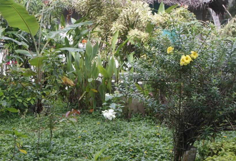 Hotel Golden Sands 7