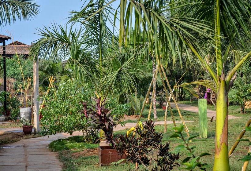 Resort Lotus Sutra 10