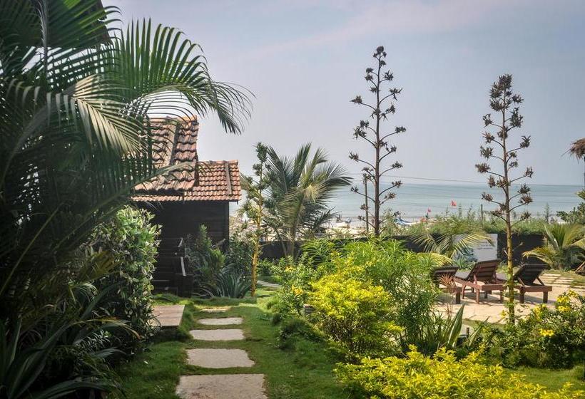 Resort Lotus Sutra 11