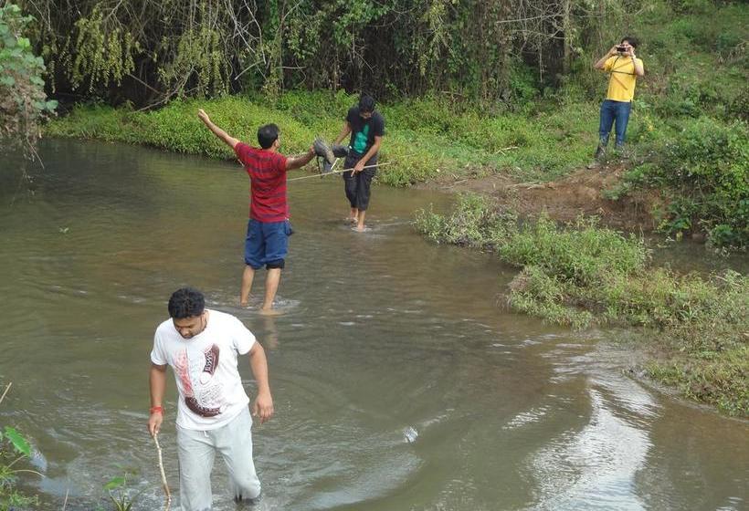 Pappys Nest Holiday Resort 13