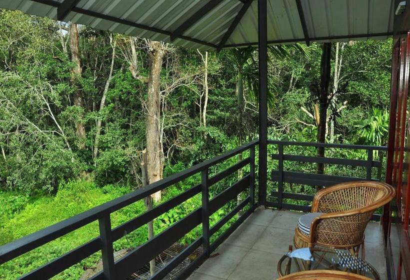 The Woods Resorts Wayanad Kerala