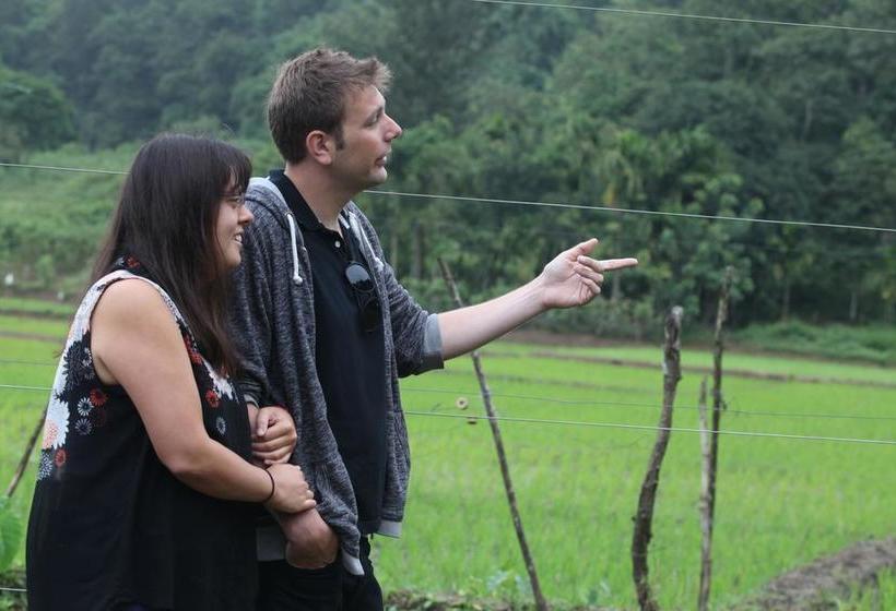 The Woods Resorts Wayanad 1