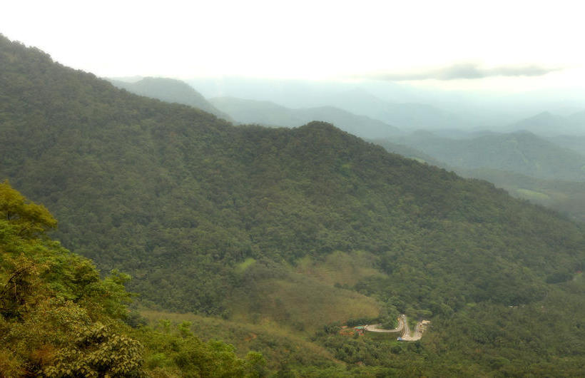 The Woods Resorts Wayanad 15