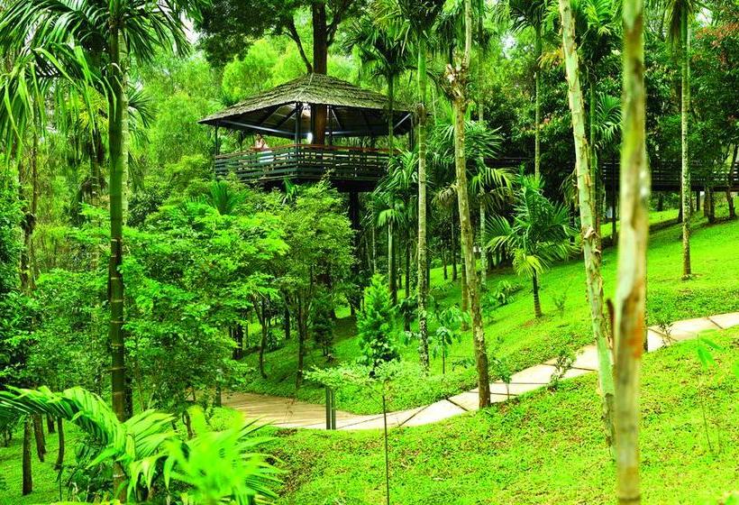 The Woods Resorts Wayanad 2