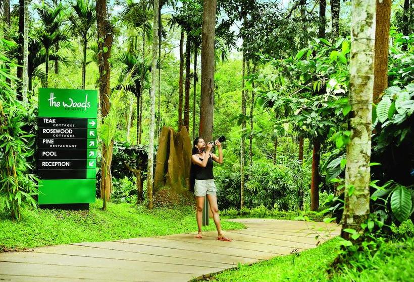The Woods Resorts Wayanad 5